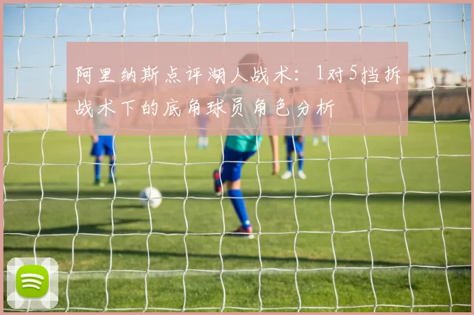 阿里纳斯点评湖人战术：1对5挡拆战术下的底角球员角色分析