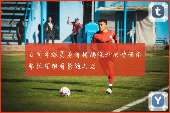 合同年球员身价榜揭晓科纳特领衔弗拉霍维奇紧随其后